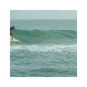 Chad Burgess's photo