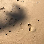 Toni Perry's photo