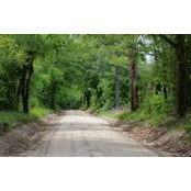 Aiken Farms's photo