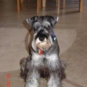 Dawn Norton's photo