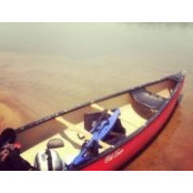 Ryan Patton's photo