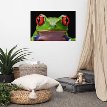 Frog Wall Art: Emerald Enchantment Red Eyed Tree Frog Close-up Photorealism