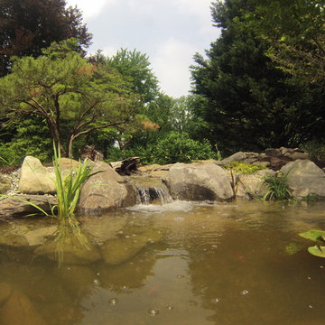 Pond Renovation