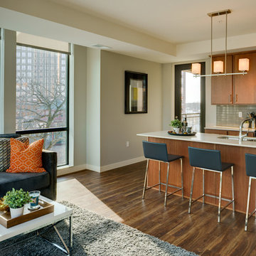 The Island Residences - Minnetonka, MN