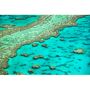 Fine Art Photograph, Great Barrier Reef I, Fine Art Paper Giclee
