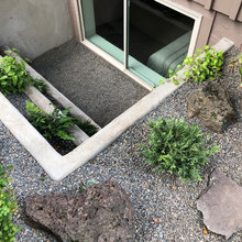 Egress Windows