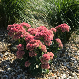 Planting Design - Landscape Lighting