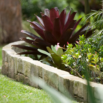 Avalon Garden
