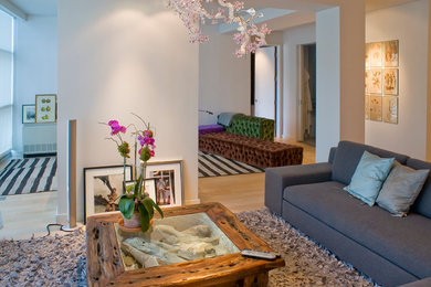 Living room - contemporary living room idea in New York