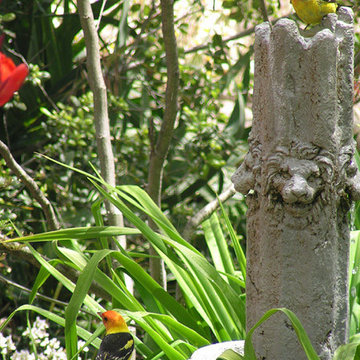 Gardens and Landscape