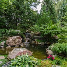 Landscape Ideas