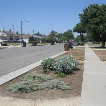Sustainable Fullerton Garden Makeover