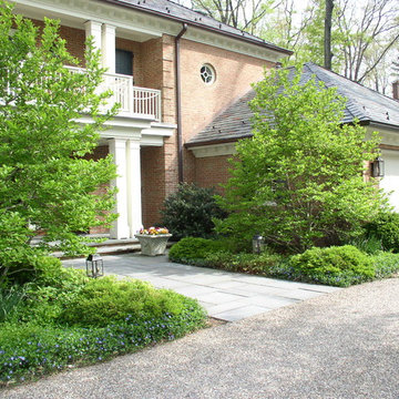 Woodland Summit Garden