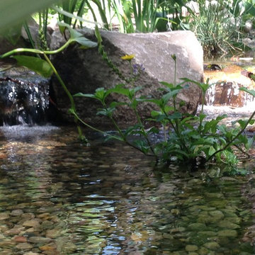 Lost loved one - Dedication Pond