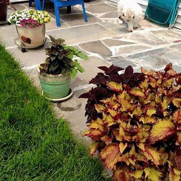 Flowerbeds and Fountains