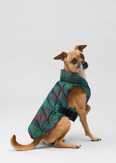 Contemporary Pet Supplies by Lands' End