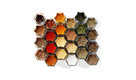 Everything Magnetic Spice Rack Includes 24 Organic Spices, Small