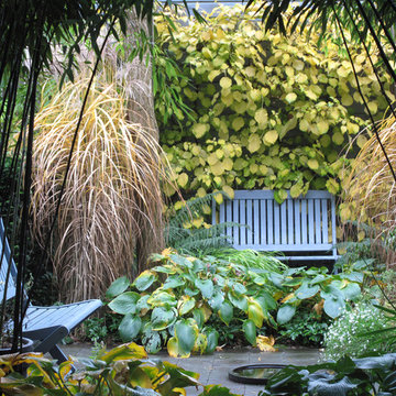 City Garden Jungle