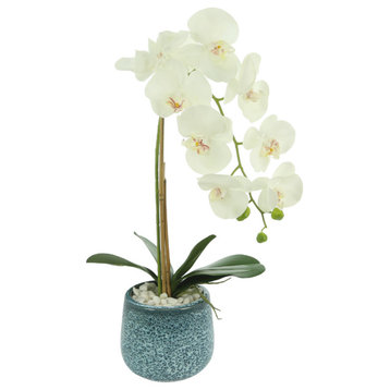 Single Orchid In Blue Vase