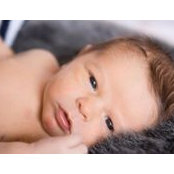 Danielle VanSlambrouck's photo