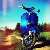 Bạch Tuộc's photo