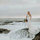 Stephanie Tholen
