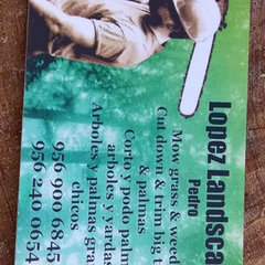 Lopez landscaping