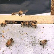 Janine Degitz's photo