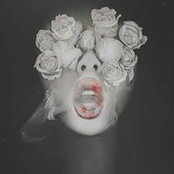 LG's photo