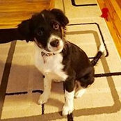 Kellie Higgins's photo