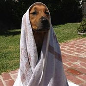 Heidi Frost's photo