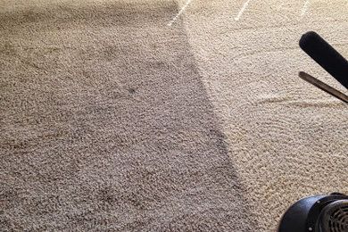 Before & After Carpet Cleaning in Nashville, TN