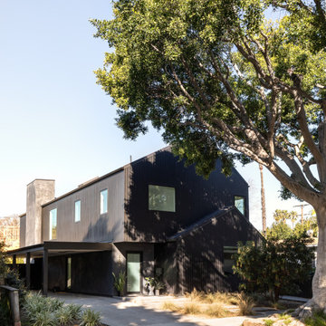 The Black Barn