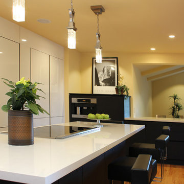 Cupertino kitchen in carbon oak and gloss white cabinets