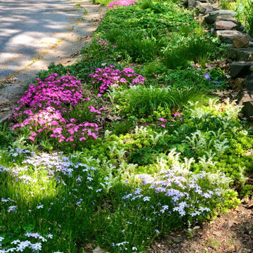 Wild Oasis In The City