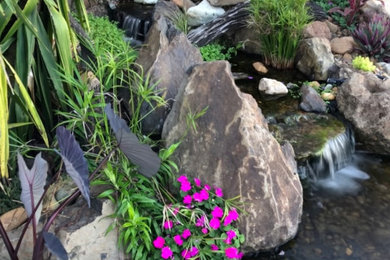 ブリスベンにある高級な中くらいなトロピカルスタイルのおしゃれな庭 (日向、川石舗装) の写真