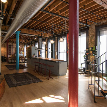 Printers Row Loft Interior Renovation