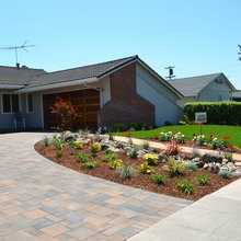 garden landscape
