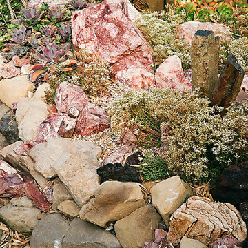 Rock Garden