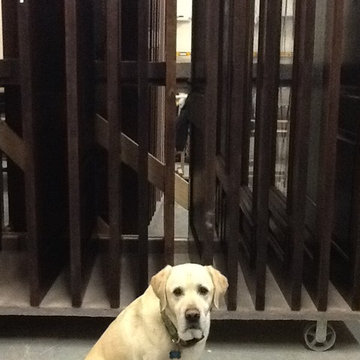 AS IS Doors