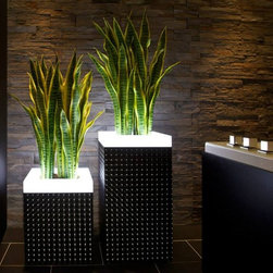 SU LIGHTS - Products