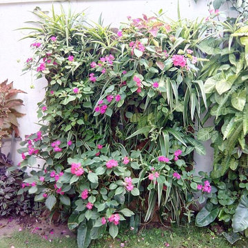 Vertical gardens