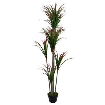 67" Green and Red Artificial Dracaena Marginata Potted Plant