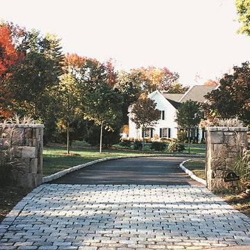Fall Colors