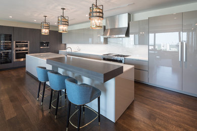 Example of a dark wood floor kitchen design in Houston