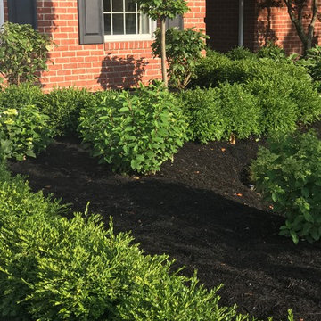 Custom Colonial