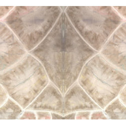 Tortoise Shell Wallpaper - Wall Decor
