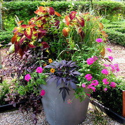 Designer Planters for sale - Outdoor Pots And Planters