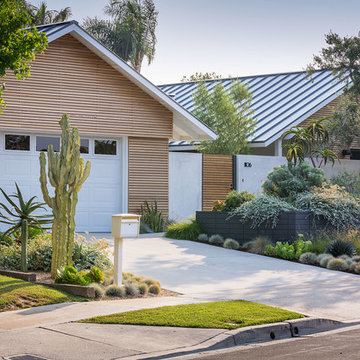 Midcentury Landscape