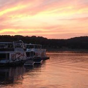 Dana Cole's photo